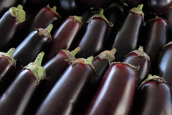 Patlıcan Patlıcan Doğal Işık Bir Pazar Üzerinde Taze Organik Patlıcan — Stok fotoğraf
