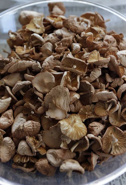 Cogumelos Shiitake Cogumelos Secos — Fotografia de Stock