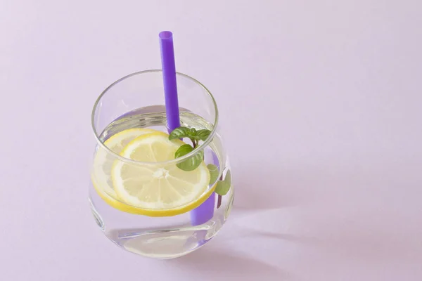 Bir Bardak Limon Nane Bir Bardak Saf Taze Organik Limon — Stok fotoğraf