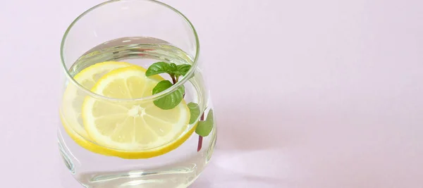 Bir Bardak Limon Nane Bir Bardak Saf Taze Organik Limon — Stok fotoğraf