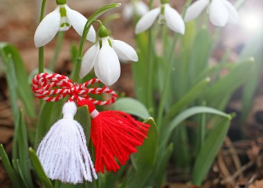 Kar damlaları ve martenitsa. Baharın sembolleri. Beyaz kardelen çiçekleri ve martisor. Baba Marta tatili. Bulgaristan 'da gelenek. Baba Marta Günü. Bahar çiçekleri ve martenitsa duvar kağıdı.