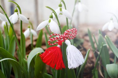 Kar damlaları ve martenitsa. Baharın sembolleri. Beyaz kardelen çiçekleri ve martisor. Baba Marta tatili. Bulgaristan 'da gelenek. Baba Marta Günü. Bahar çiçekleri ve martenitsa duvar kağıdı.