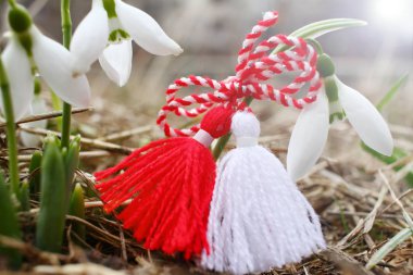 Kar damlaları ve martenitsa. Baharın sembolleri. Beyaz kardelen çiçekleri ve martisor. Baba Marta tatili. Bulgaristan 'da gelenek. Baba Marta Günü. Bahar çiçekleri ve martenitsa duvar kağıdı.