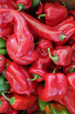 Biberler. Organik renkli biberler. Sebze arka planı. Sebze deseni, tam çerçeve. Kırmızı biber.. 