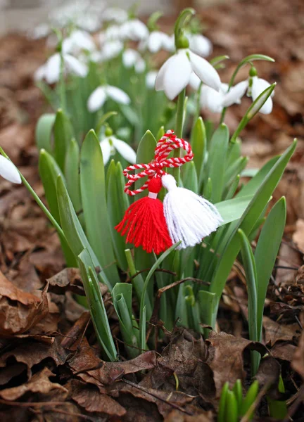 Sneeuwklokjes Martenitsa Symbolen Van Lente Witte Sneeuwdruppel Bloemen Martisor Baba — Stockfoto