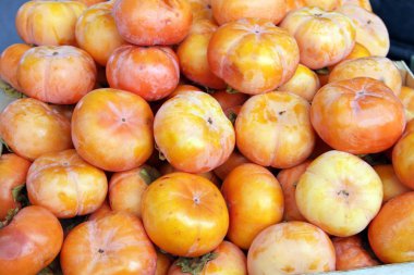 Olgun organik hurma. Hurma deseni.