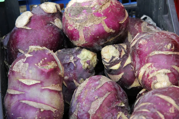 Raw Organic Purple Kohlrabi on a farmer market. Root veggie back