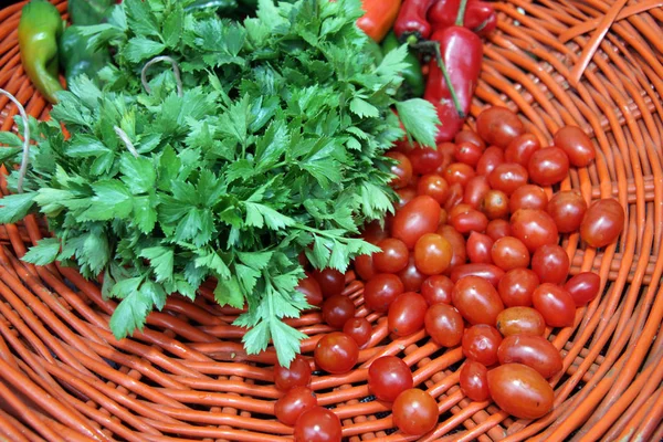 Salsa fresca e tomates cereja em um fundo tricotado. Cherr... — Fotografia de Stock