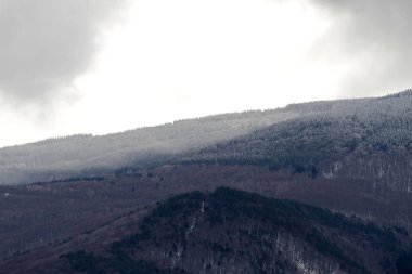Karda bir dağ zirvesi. Kötü gri hava. Vitoşa Dağı.