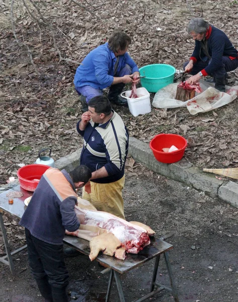 People Butcher a pig in the yard in Yambol, Bulgaria - 02/25/2012 — 스톡 사진