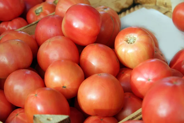 Tomates biologiques fraîches au soleil sur un marché. Modèle de tomate — Photo