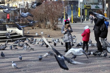 Anne ve çocuklar 25 Ocak 2020 'de Bulgaristan' ın Sofya kentindeki parkta güvercinleri besliyor.