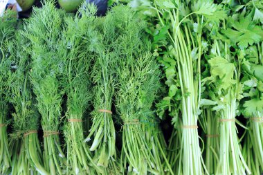 Arka plan olarak taze maydanoz ve dereotu. Yeşil otlar