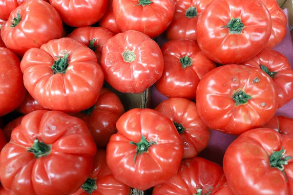 Modèle Tomates Tomates Biologiques Fraîches — Photo