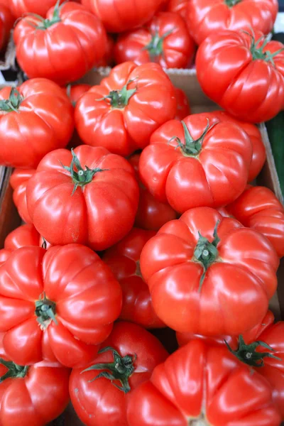 Padrão Tomates Tomates Orgânicos Frescos Vertical — Fotografia de Stock