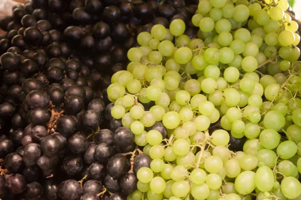 Background of blue and green grapes — Stock Photo, Image