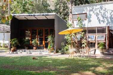 Kahve dükkanında dekore edilmiş bahçe.