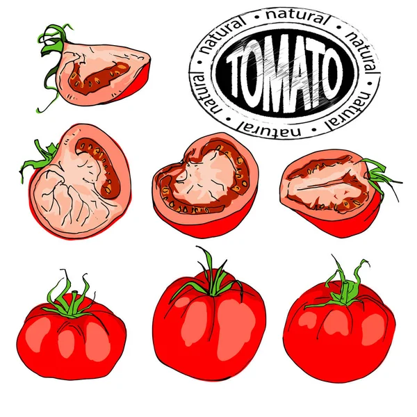 Composição de pedaços inteiros e de tomate. Produto natural ecológico — Vetor de Stock