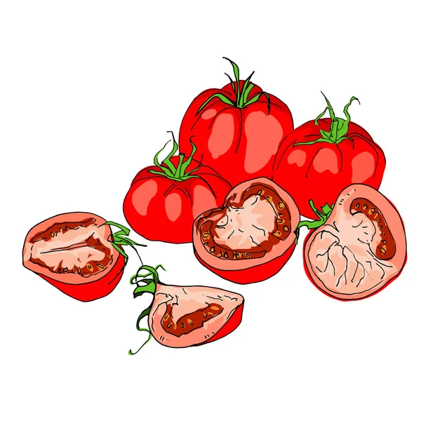 Komposisi keseluruhan dan potongan tomat - Stok Vektor