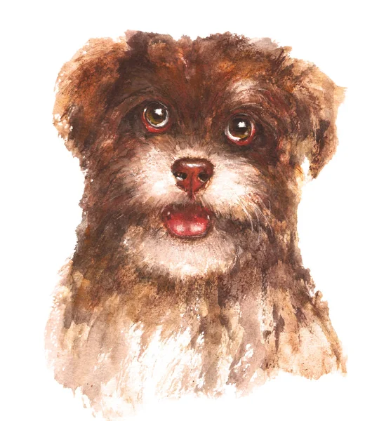Artistiek portret van een hond. — Stockfoto