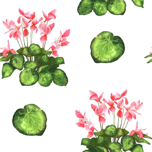 Bezproblémové Cyclamen květinový vzor — Stock fotografie