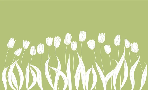 Monochromatický horizontální pozadí s tulipány — Stockový vektor