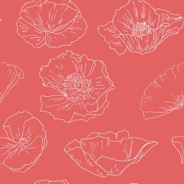 Kırmızı haşhaş ile sorunsuz arka plan