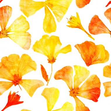 Çiçekler beyaz arka plan seamless modeli üzerinde