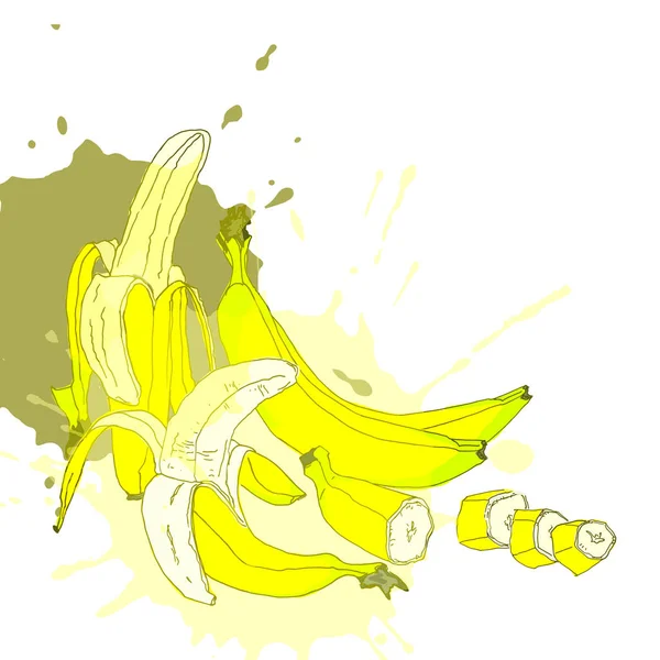 Σύνολο και τα κομμάτια μπανάνας — Διανυσματικό Αρχείο