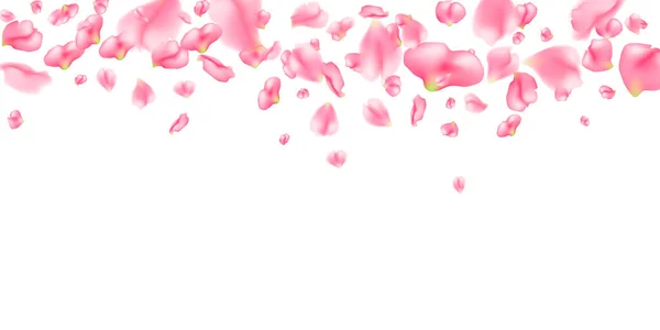 Modèle horizontal tombant pétales de sakura — Image vectorielle