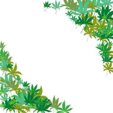 Beyaz üzerinde marihuana kenevir yaprakları olan çerçeve. El yapımı kenevir yaprakları. Marihuana Yasallaştırma. Paketleme malzemeleri için şablon, afiş, web tasarımı. Vektör