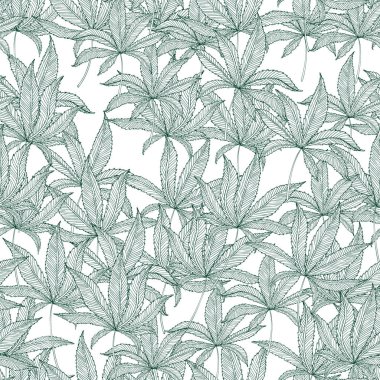 Beyaz arka planda izole edilmiş marihuana keneviri yaprakları olan kusursuz bir desen. El yapımı kenevir yaprakları. Marihuana Yasallaştırma. Tekstil tasarımı için şablon, ambalaj malzemeleri. Vektör