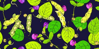 Kusursuz desenli, baklagillerden elde çizilmiş karanlık arka planda izole edilmiş sanat tarzı. Kumaş, ambalaj malzemeleri, organik tarım ürünleri tasarımı için vektör illüstrasyonu ideali.