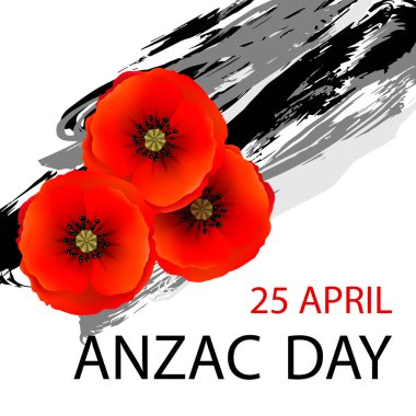 Kırmızı haşhaş ile anzac günü geçmişi. El kaplamalı kırmızı gelincikler mürekkep izi. Anma Günü vektör illüstrasyonu. Poster, pankart, web tasarımı için tasarım ögesi
