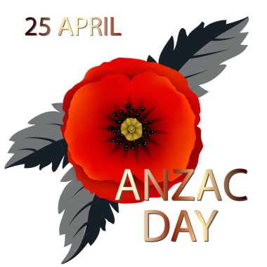Kırmızı haşhaş ile anzac günü geçmişi. Beyaz arka planda izole edilmiş kırmızı gelincikler. Anma Günü vektör illüstrasyonu. Poster, pankart, web tasarımı için tasarım ögesi