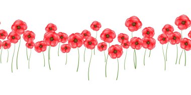 Yatay, pürüzsüz kırmızı gelincikler beyaz arka planda izole edilmiş. Parlak çiçek gelincikleri tasarım kapağı, tekstil, kumaş, duvar kağıdı, ambalaj, kart için mükemmel. Vektör İllüstrasyonu