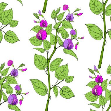 Kusursuz desenli baklagiller ve beyaz arka planda izole edilmiş çiçekler. Robot resim tarzında renkli vektör illüstrasyonu. Kumaş, ambalaj malzemeleri, organik tarım ürünleri tasarımı için ideal