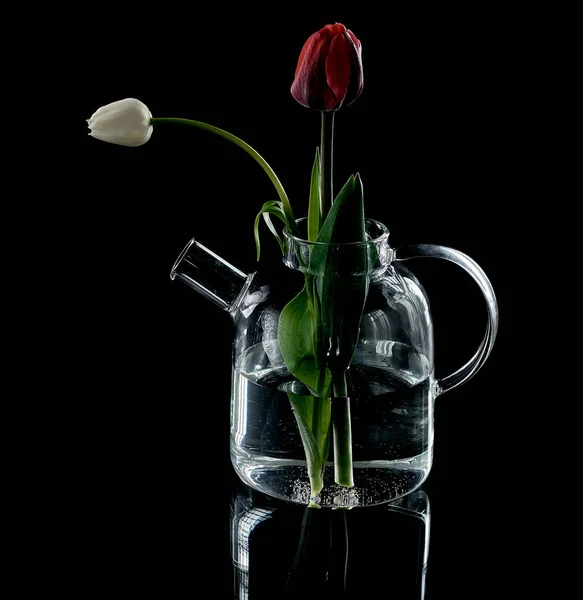 glass teapot with flowers on a black background