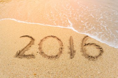 Yeni yıl 2017