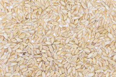 Arpa Gluten ücretsiz 