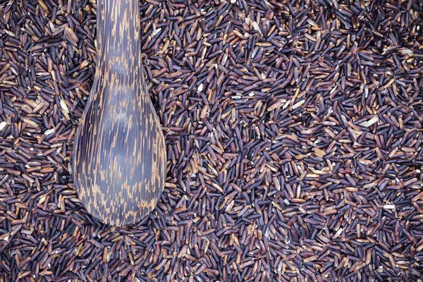 Arroz de bayas — Foto de Stock