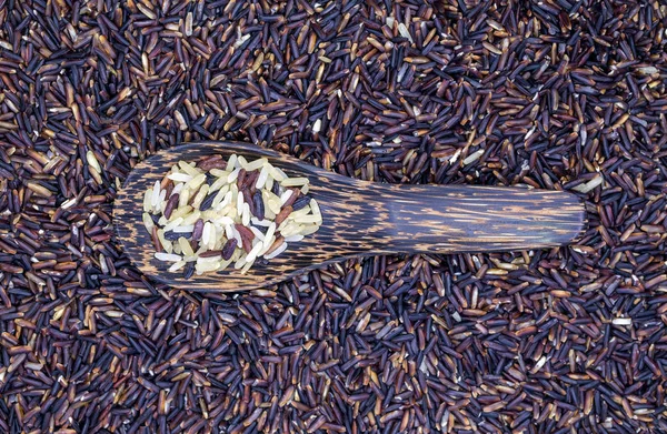 Variedades de arroz tailandés — Foto de Stock