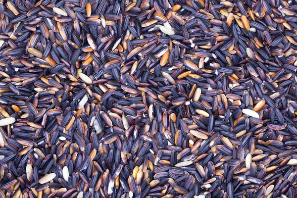 Arroz de mina negra — Foto de Stock