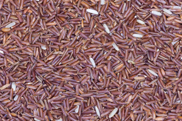 Fondo de arroz rojo — Foto de Stock