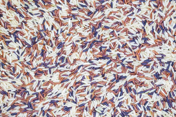 Sfondo grano di riso — Foto Stock