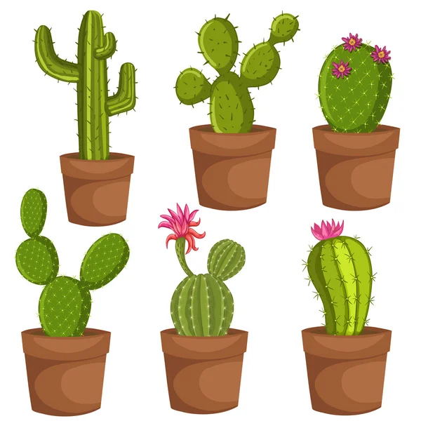 Gröna ökenväxt naturen tecknad cactus — Stock vektor