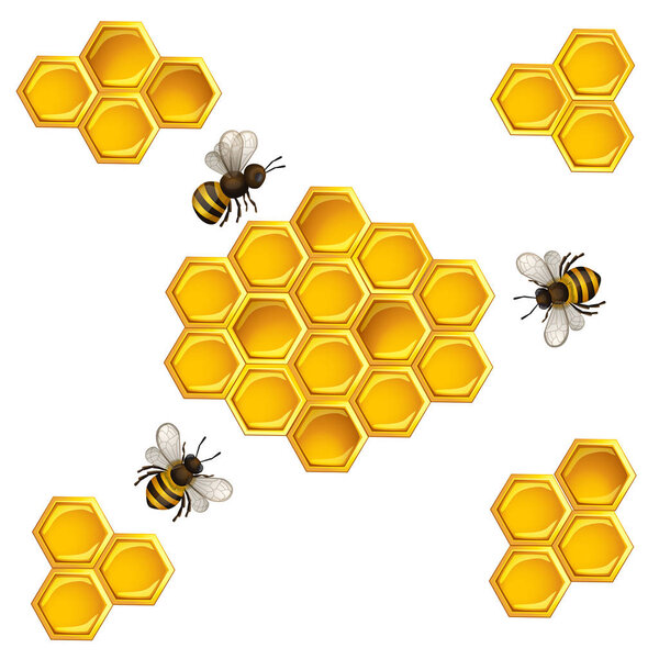 Bees and honeycombs on white.