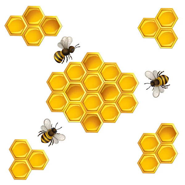 Bin Och Honeycombs Vit — Stock vektor