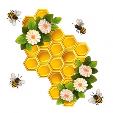 Arılar, peteğin ve beyaz arka plan üzerinde çiçekler.