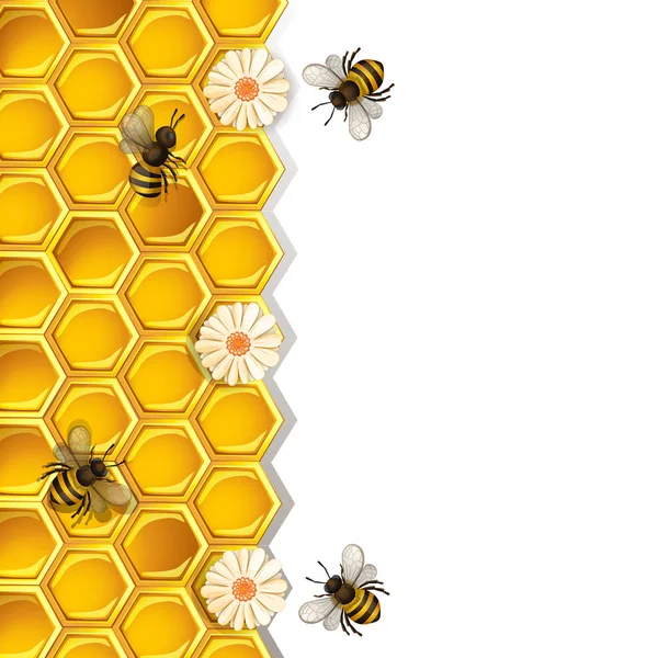 白色背景下的蜜蜂 蜂窝和花朵 — 图库矢量图片